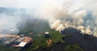 Incêndio florestal de grandes proporções atinge Laranjal do Jari e mobiliza equipes de combate; VÍDEOS